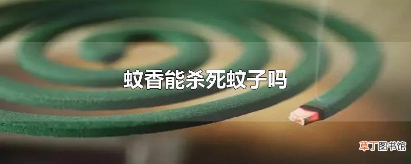 蚊香能杀死蚊子吗