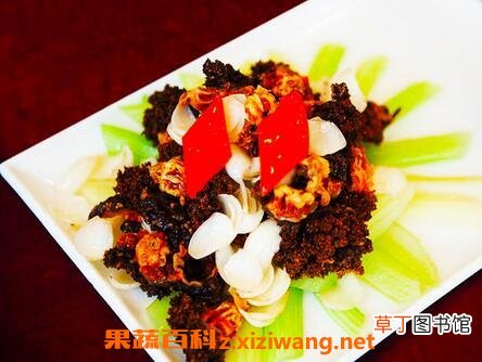 海参花的功效和作用 吃海参花的好处