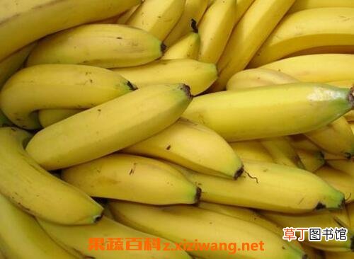 高血压有什么症状 高血压吃什么食物好