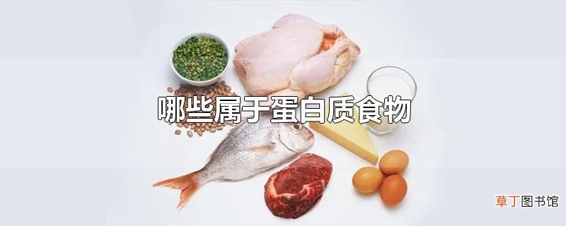 哪些属于蛋白质食物
