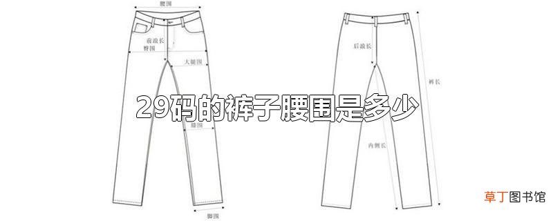 29码的裤子腰围是多少