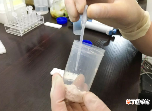 瘦肉精对人体有哪些危害？