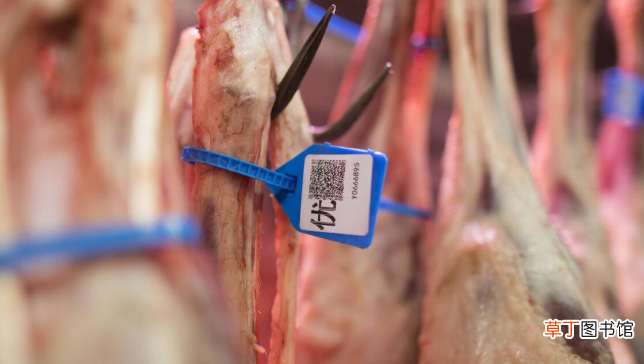 瘦肉精对人体有哪些危害？