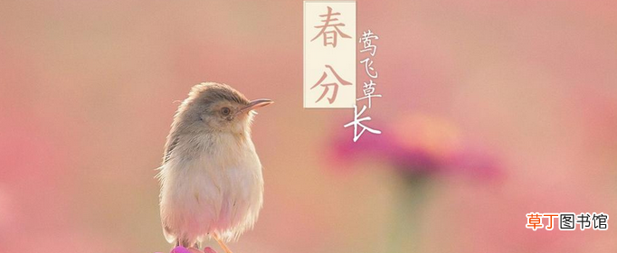 春分象征着什么?