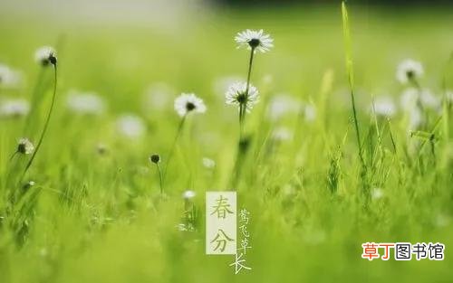 春分象征着什么?