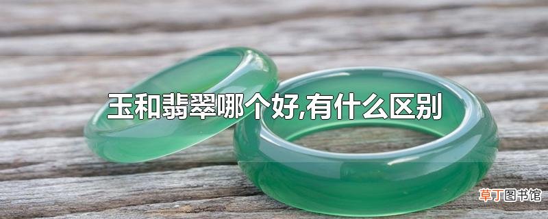 玉和翡翠哪个好,有什么区别