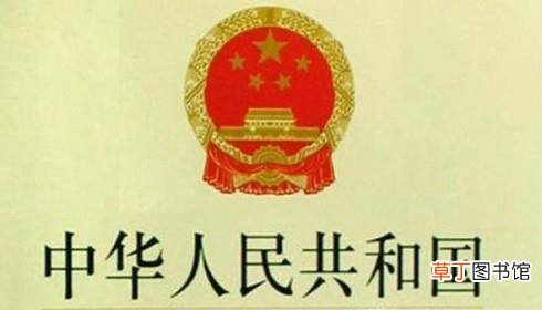教师体罚学生造成伤害,学校承担什么责任