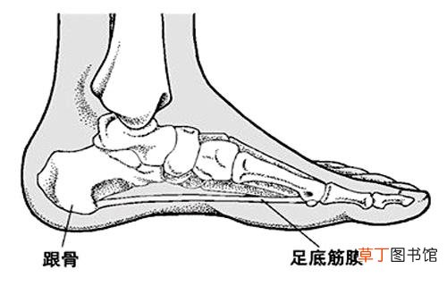 脚疼是怎么回事-导致脚疼的原因有哪些