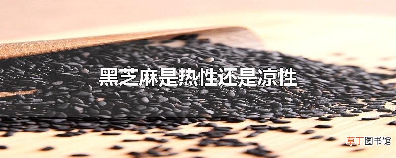 黑芝麻是热性还是凉性