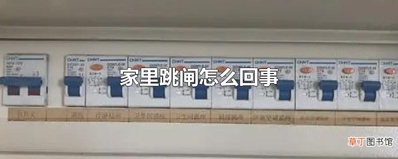 家里跳闸怎么回事