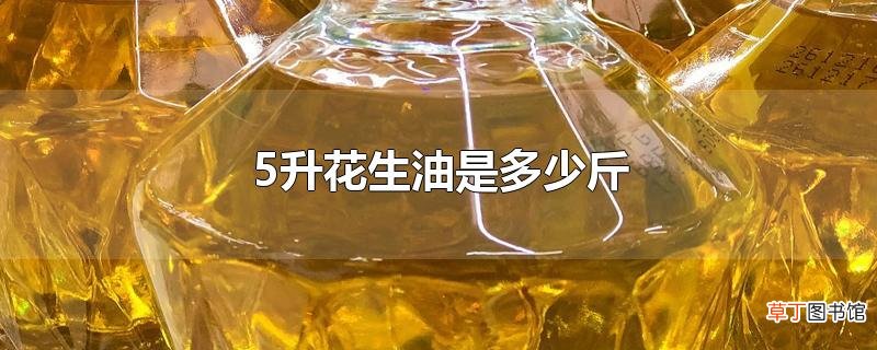 5升花生油是多少斤