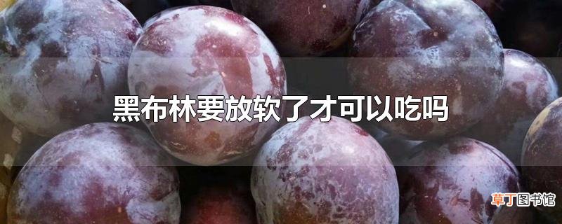黑布林要放软了才可以吃吗