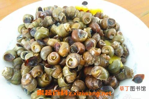 怎么洗螺丝最干净 怎么清洗螺丝外壳