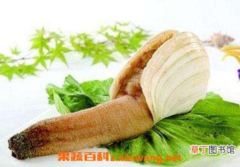 象拔蚌的食疗价值与功效