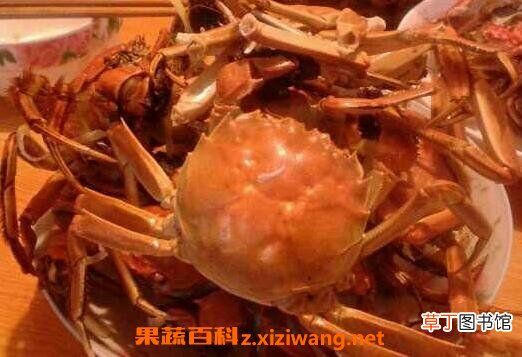 吃螃蟹以后不能吃什么