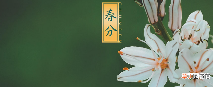 关于春分的古诗有哪些？