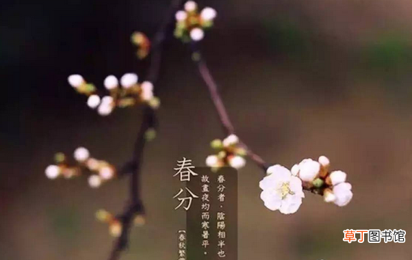 关于春分的古诗有哪些？