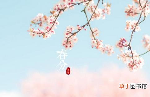 关于春分的文案有哪些？