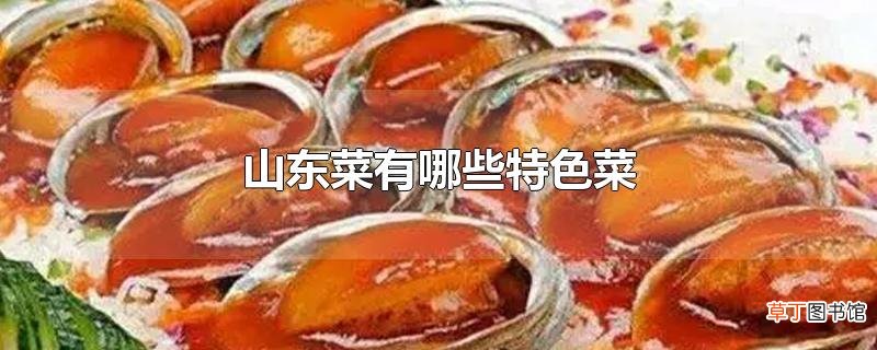 山东菜有哪些特色菜