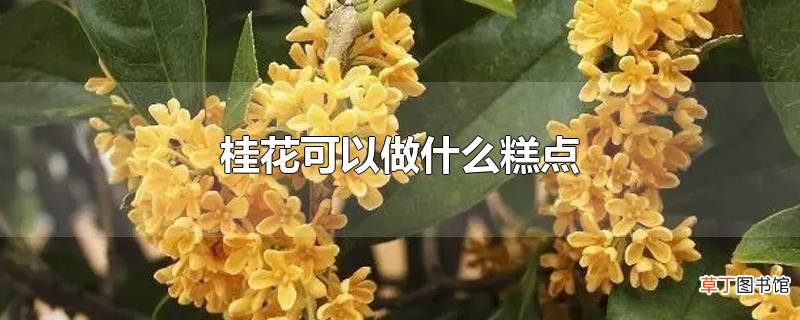 桂花可以做什么糕点