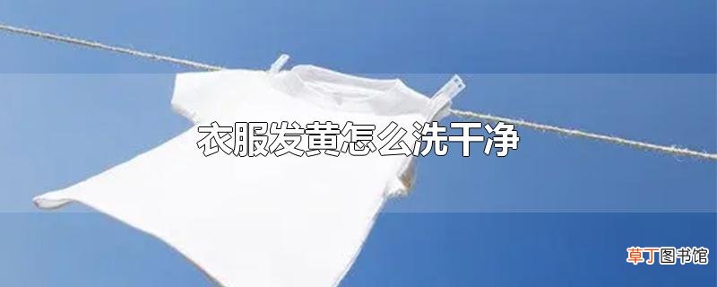 衣服发黄怎么洗干净