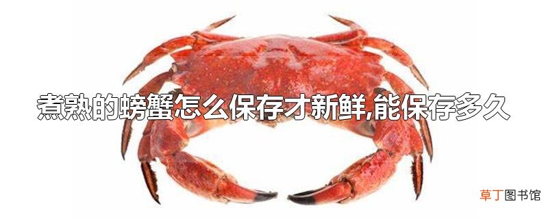 煮熟的螃蟹怎么保存才新鲜,能保存多久