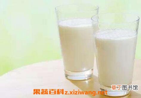 牛奶什么时候喝最好 喝牛奶的时间选择