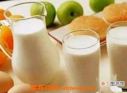 牛奶什么时候喝最好 喝牛奶的时间选择