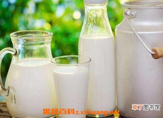 空腹喝牛奶好吗 空腹喝牛奶会怎么样