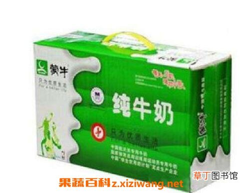 纯牛奶什么时候喝最好 纯牛奶哪个牌子好