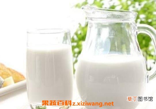全脂牛奶和脱脂牛奶的区别 脱脂牛奶的功效