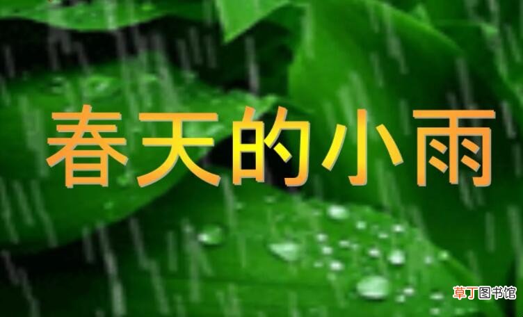 春天的小雨作文怎么写