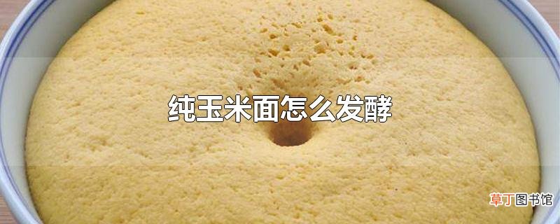 纯玉米面怎么发酵