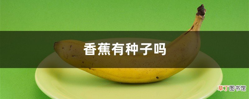 香蕉有种子吗