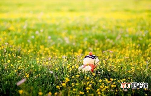 立秋后还会热多长时间 九月份天气热吗