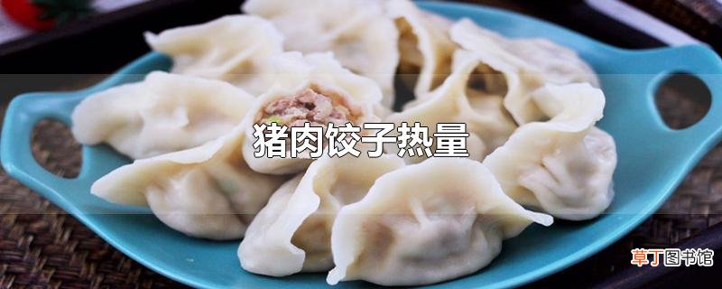 猪肉饺子热量