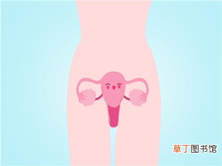 怎么知道卵泡什么时候排出
