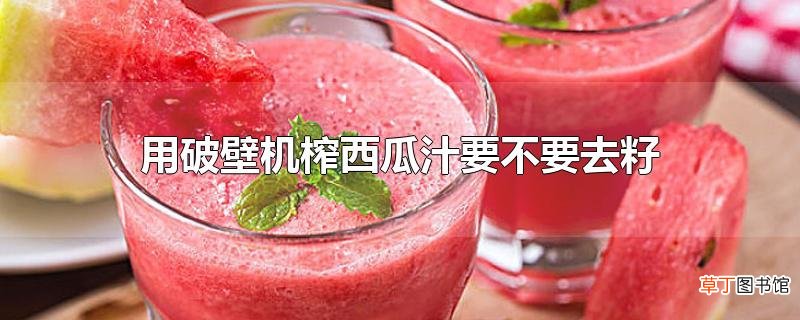 用破壁机榨西瓜汁要不要去籽