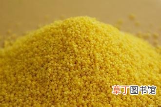 杂粮有哪些?10种常见粗粮的营养功效
