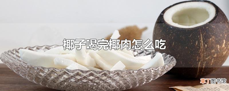 椰子喝完椰肉怎么吃