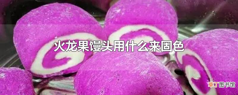 火龙果馒头用什么来固色