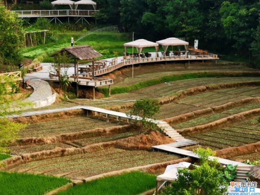非法占用农用地罪最新司法解释 非法占用农用地罪量刑标准