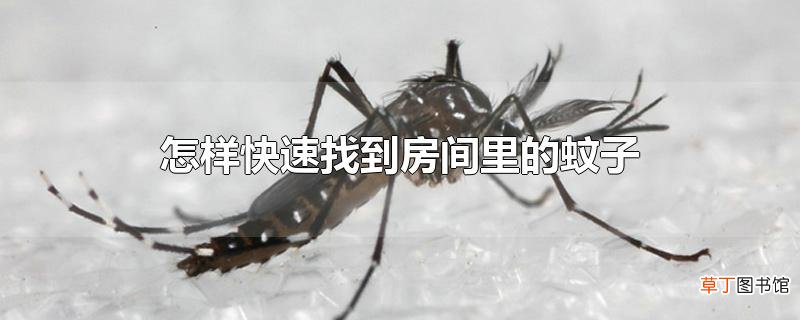 怎样快速找到房间里的蚊子