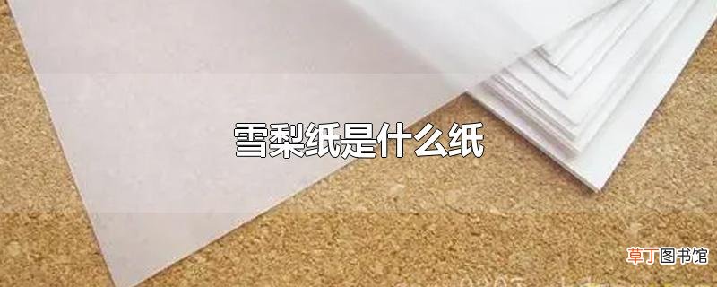 雪梨纸是什么纸