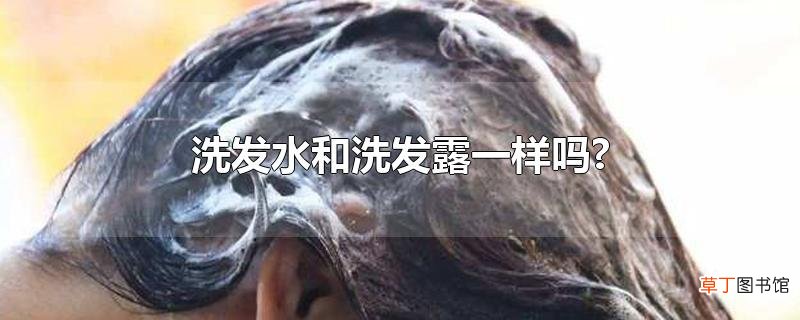 洗发水和洗发露一样吗?
