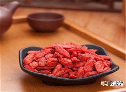 枸杞适合人群有哪些 九种人坚决不能吃枸杞