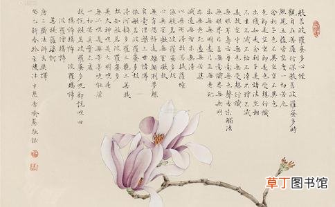 抄心经最佳时间 心经为什么晚上10点后不能念