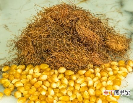 夏季肠胃不适没食欲 用小米补一补