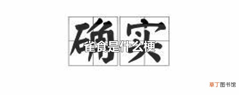 雀食是什么梗