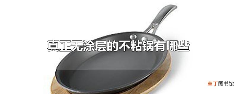 真正无涂层的不粘锅有哪些